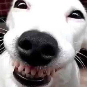 Meet your Posher, Claire